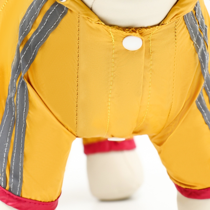 Комбинезон для собак, демисезонный, размер S (ДС 21-23, Ог 31-33, ОШ 23-25 см), жёлтый Комбинезон для собак, демисезонный, размер S (ДС 21-23, Ог 31-33, ОШ 23-25 см), жёлтый