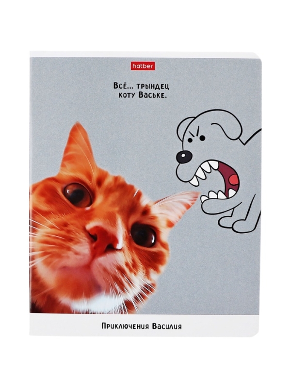 Тетрадь 48л кл на скобе "Приключения Василия", скругл углы, обл мел бум, 45 МИКС