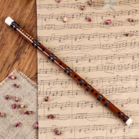 Флейта Music Life 56 см, тональность C