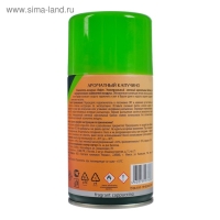 Освежитель воздуха Master FRESH, сменный баллон Ароматный капучино 250 мл