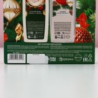 Подарочный набор косметики &laquo;С Новым Годом!&raquo;, гель для душа и шампунь для волос, 2 х 250 мл, ЧИСТОЕ СЧАСТЬЕ