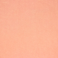 Пергамент флористический "Кофейный" 0,6 х 10 м, 52 г/м2