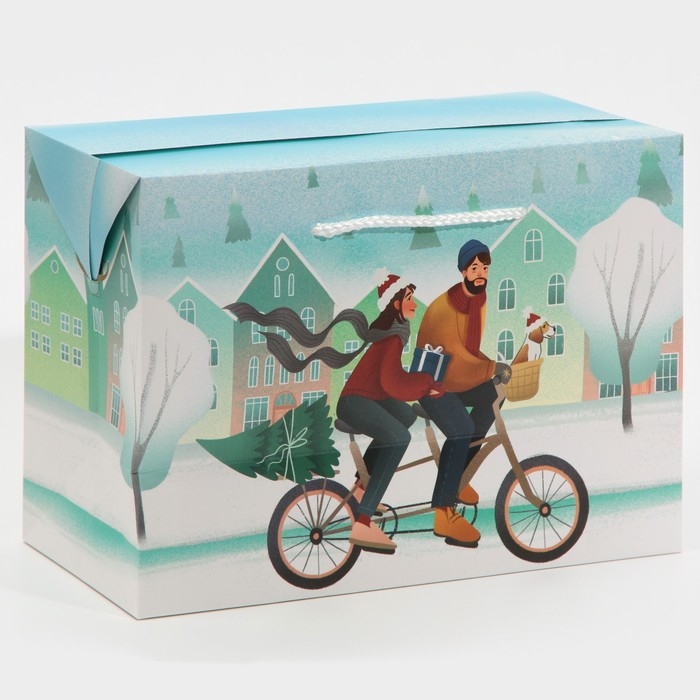 Пакет-коробка &laquo;Новый год вместе&raquo;, 28 х 20 х 13 см, Новый год