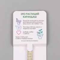 Растущие подарочные карандаши mini "Паприка"