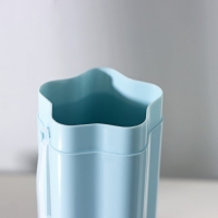 Футляр для зубной щётки и пасты Доляна &laquo;Звезда&raquo;, 20,5&times;5,5 см, цвет голубой