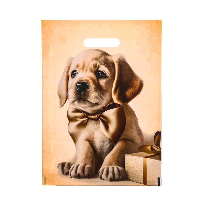Пакет Пакет "Подарочный с собакой", полиэтилен. с вырубн. ручкой, 30 х 40 см, 50 мкм набор 10 штук