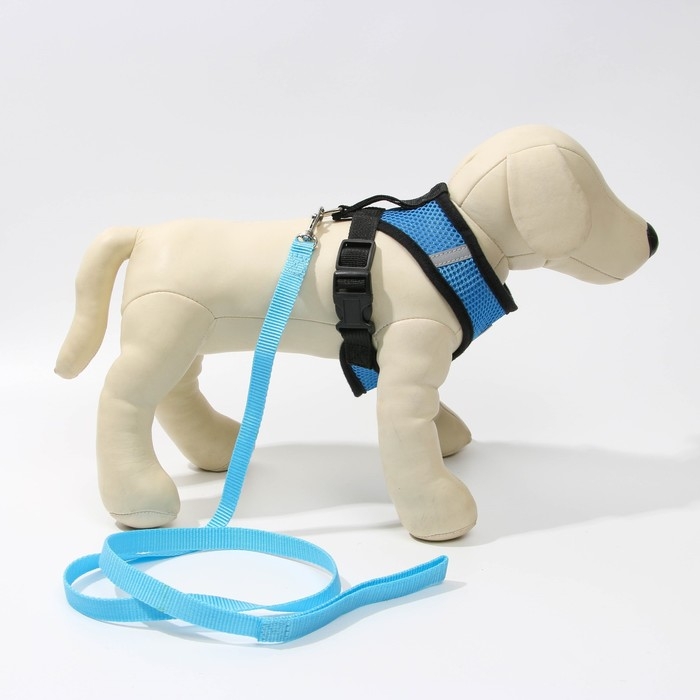 Шлейка дышащая с поводком и светоотражающей нашивкой, S, ОШ 27, ОГ 30-38, синяя