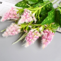 Букет "Пушица мимоза" 30 см, микс Букет "Пушица мимоза" 30 см, микс