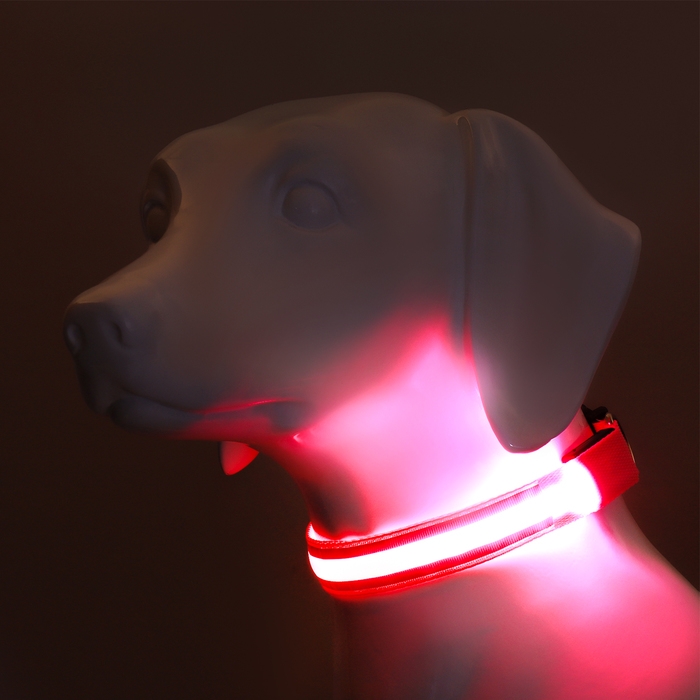 Ошейник с подсветкой Двойная полоса размер М, ОШ 40-48 х 2,5 см 3 режима свечения розовый Ошейник с подсветкой Двойная полоса размер М, ОШ 40-48 х 2,5 см 3 режима свечения розовый