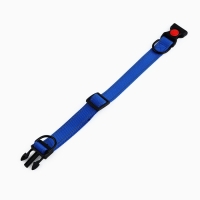 Ошейник с подкладом из нейлона с фастексом 2,5 см, ОШ 31-48 см, синий Ошейник с подкладом из нейлона с фастексом 2,5 см, ОШ 31-48 см, синий