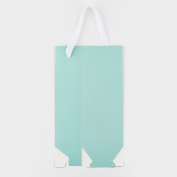 Пакет-переноска для цветов с пластиковым окном, «Для тебя», тиффани, 30 х 12 х 8 см Пакет-переноска для цветов с пластиковым окном, «Для тебя», тиффани, 30 х 12 х 8 см