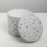 Набор подарочных коробок 5 в 1 &laquo;Изморозь&raquo;, 13 х 14‒19.5 х 22 см 3580137, Новый год