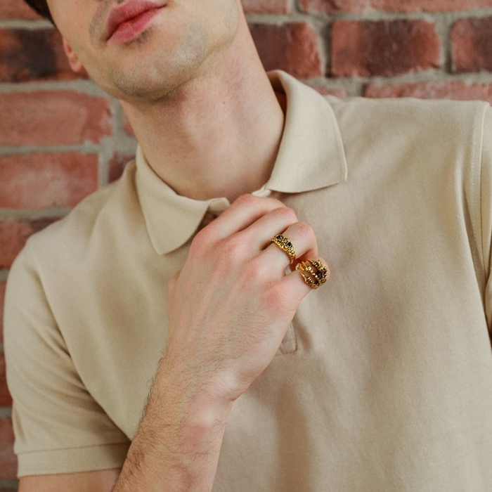 Кольцо «Перстень» хищник, цвет чернёное золото, безразмерное Кольцо «Перстень» хищник, цвет чернёное золото, безразмерное