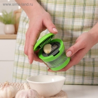 Приспособление для нарезки чеснока &laquo;Прино&raquo;, 2 насадки, 7,5&times;7,5&times;6 см, цвет зелёный