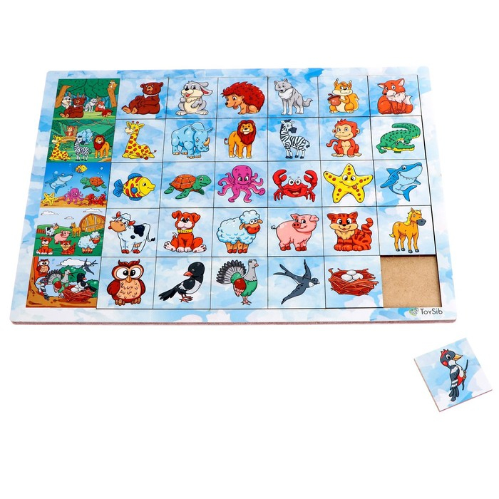 Ассоциации &laquo;Животные&raquo;