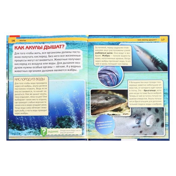 Энциклопедия с развивающими заданиями &laquo;Акулы&raquo;