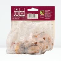 Гладиолус крупноцветковый &laquo;Питер Пирс &raquo;, луковица цветов в пакете с перфорацией, р-р 10/12, 10 шт.