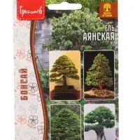 Семена цветов Ель Аянская 10 шт.  12.29 г.