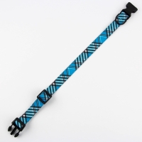 Ошейник &laquo;Джентльмен&raquo;, застёжка - фастекс, 2.5 см, 40-55 см