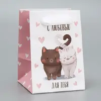 Пакет подарочный ламинированный, упаковка, &laquo;Котики&raquo;, 7&times;10&times;7 см