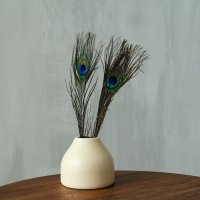 Набор перьев павлина для декора 2 шт.