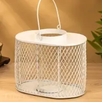 Подсвечник фонарь со стеклянной колбой 19,5х23х15,5 см, d 10 см, металл, цв. белый