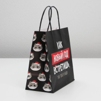 Пакет подарочный новогодний &laquo;Так тебе и надо&raquo;, 22 х 22 х 11 см