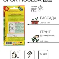 Семена Огурец "Пучковое очарование", F1, ц/п, 10 шт
