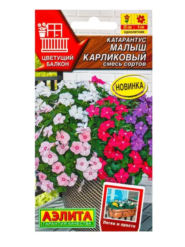 Семена цветов Катарантус Малыш карликовый, смесь сортов  Цветущий балкон, Ц/П,0,05 г