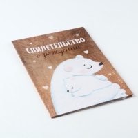 Папка для свидетельства о рождении "Мама и малыш", медведи, 23 х 17 см