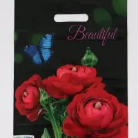 Пакет "Прекрасный букет , полиэтиленовый с вырубной ручкой 30х40 см, 60 мкм