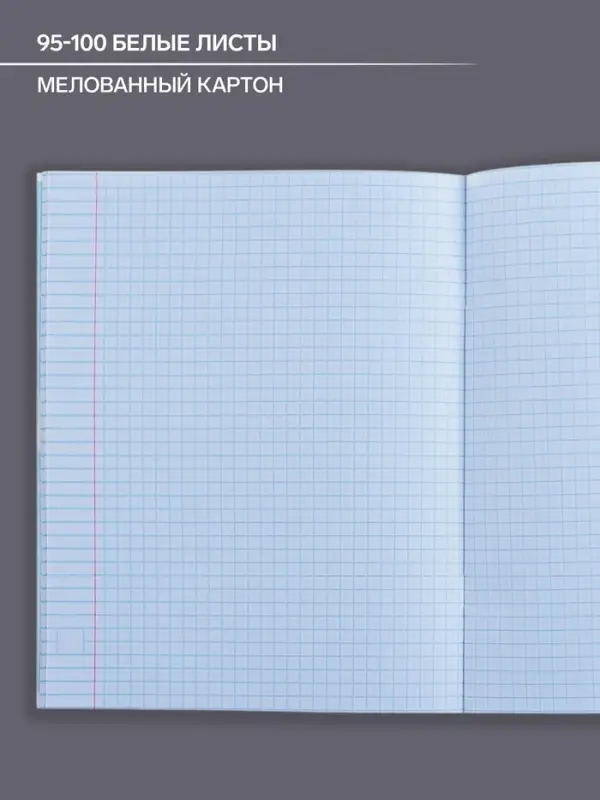 Тетрадь предметная 48 листов в клетку Calligrata, &laquo;Коллаж. Алгебра&raquo;, обложка мелованный картон