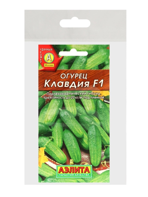 Семена Огурец "Клавдия F1", раннеспелый, партенокарпическии,набор 5 шт