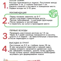Семена Капуста белокочанная "Слава 1305", 0,5 г