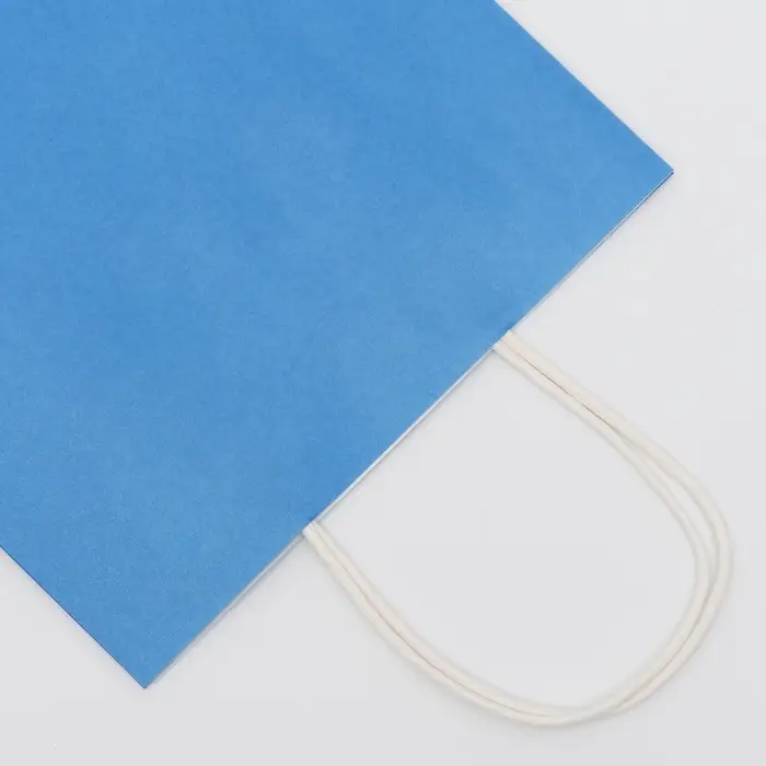 Пакет крафт синий, круглая ручка, 22&times;13&times;32 см, 120 г