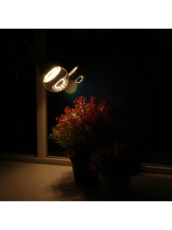 Фитолампа для растений Luazon, светодиодная, А60, E27, 12 Вт, IP44, 220 В, 270&deg;, полноспектральная