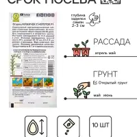 Семена Огурец "Мужичок с ноготок" F1, среднеранний, партенокарпический, 10 шт