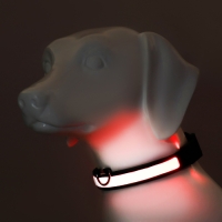 Ошейник с подсветкой Flash 3 режима свечения, размер XL, ОШ 52-60 х 2,5 см, красный Ошейник с подсветкой Flash 3 режима свечения, размер XL, ОШ 52-60 х 2,5 см, красный