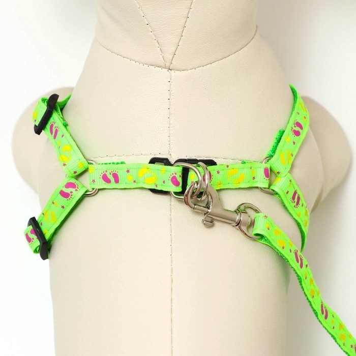 Комплект Комплект "Цветные следы", поводок 120 х 1 см, ОГ 23-35 см, зелёный