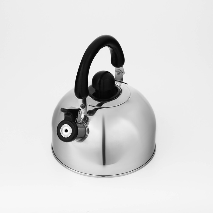 Чайник со свистком из нержавеющей стали Доляна &laquo;Чёрная ночь&raquo;, 2 л, индукция, цвет хромированный