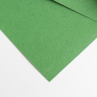 Фоамиран иранский, 0.8-1 мм, тёмно-зелёный/179, 60&times;70 см