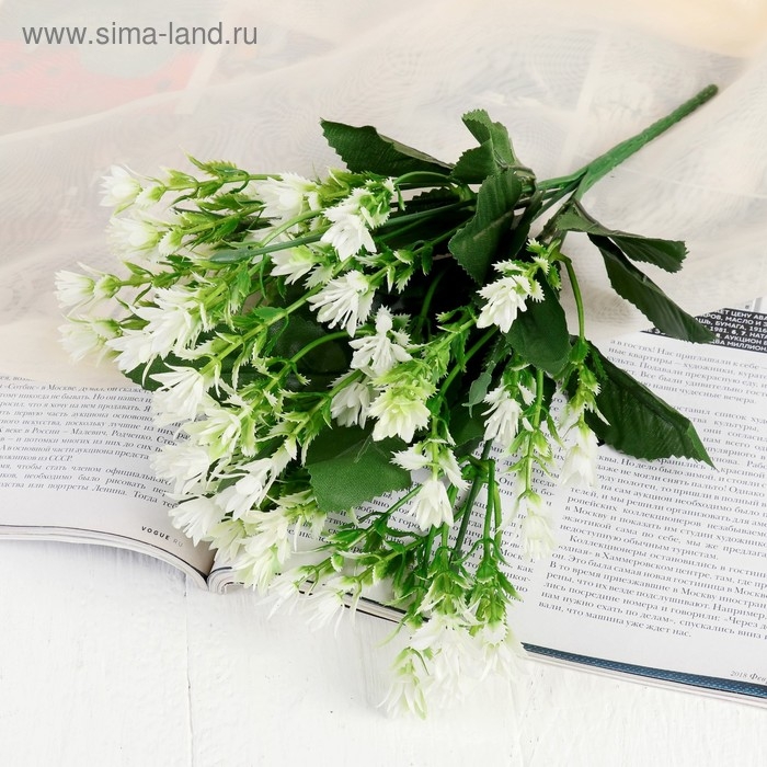 Букет Букет "Декабрист" 26 см