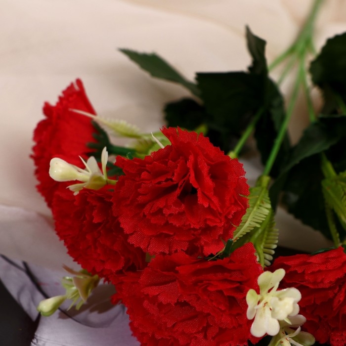 Букет Букет "Гвоздика Айрис" 4х31 см, микс