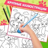 Раскраски для малышей набор &laquo;Животные&raquo;, с карандашами 6 цветов, 2 шт. по 16 стр.