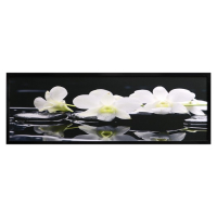 Картина "Орхидеи на чёрных камнях" 57*157 см рамка МИКС