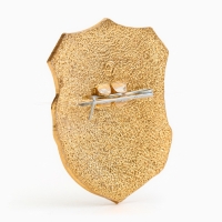 Значок "Дружинник"