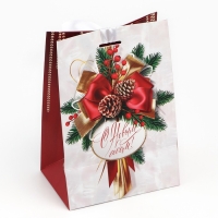 Пакет подарочный новогодний с лентой &laquo;Новый год&raquo;, 13 х 19 х 9 см , Новый год