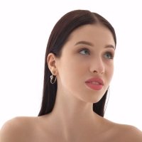 Серьги-кольца &laquo;Перерождение&raquo; классика, d=2,5 см, цвет серебро