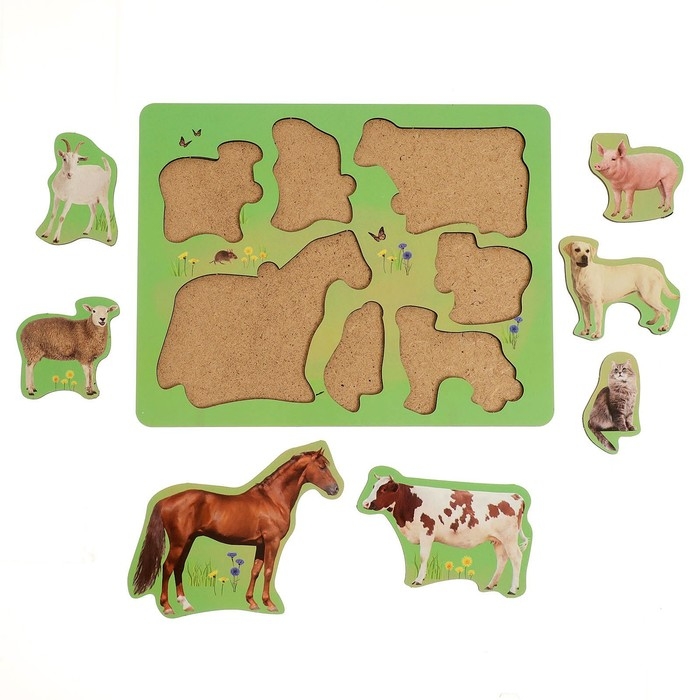 Рамка-вкладыш &laquo;Домашние животные&raquo;