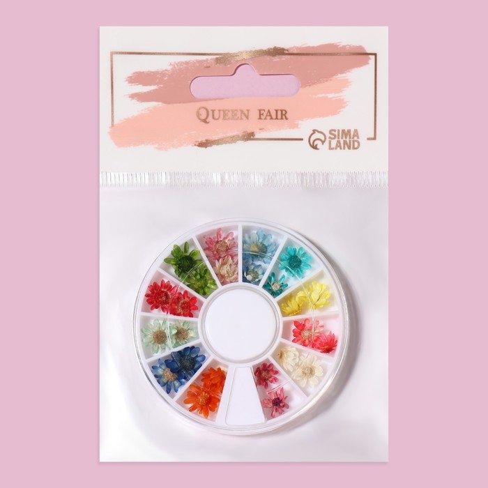 Сухоцветы для декора ногтей «Ромашки», объёмные, 12 видов, в футляре, разноцветные Сухоцветы для декора ногтей «Ромашки», объёмные, 12 видов, в футляре, разноцветные